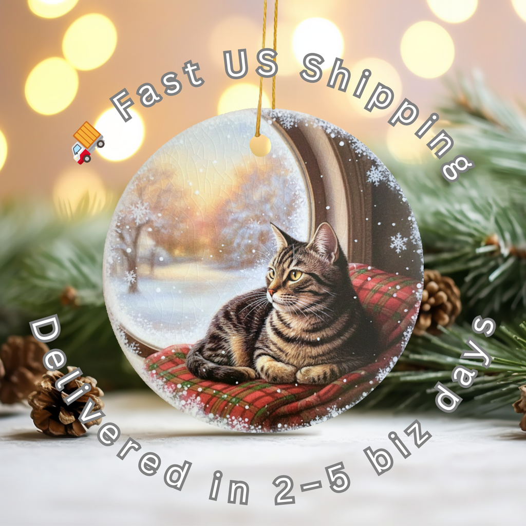 Tabby Cat Ceramic Ornament – Winter Window Christmas Decor